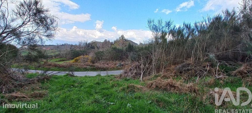 Casa rústica em Cambra e Carvalhal de Vermilhas de 3971 m2