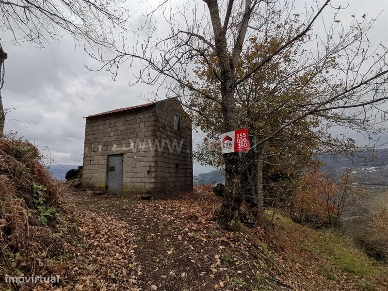 Terreno / Baião, Baião (Santa Leocádia) e Mesquinhata