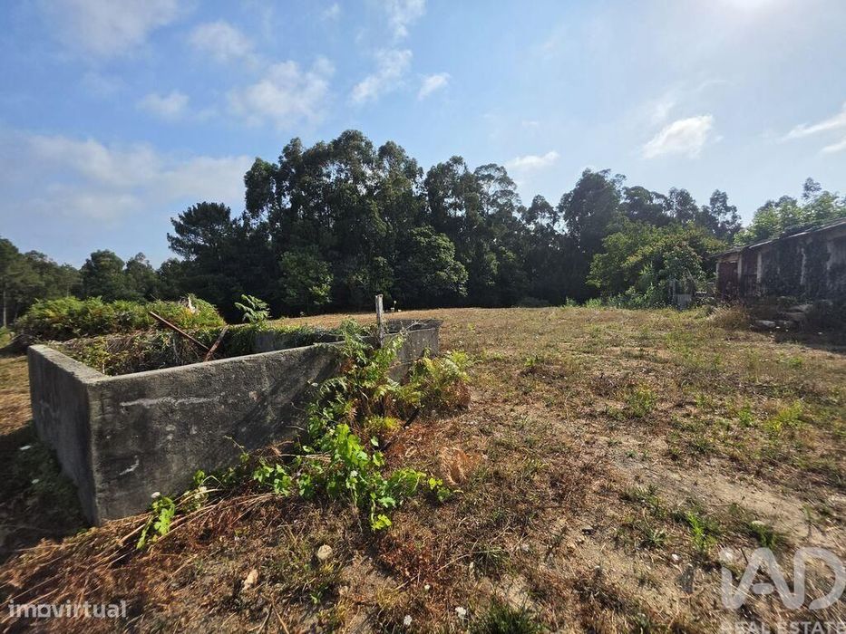 Terreno em Reboreda e Nogueira