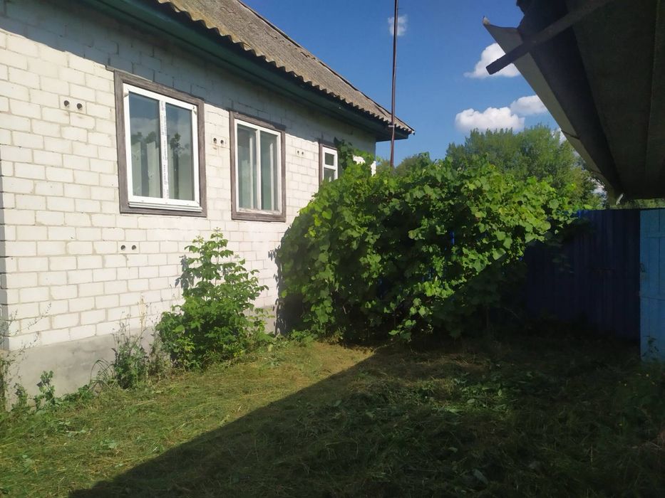 Продам Будинок Чернігівська обл, Ніжинський р-н, с Данина, Лосинівка