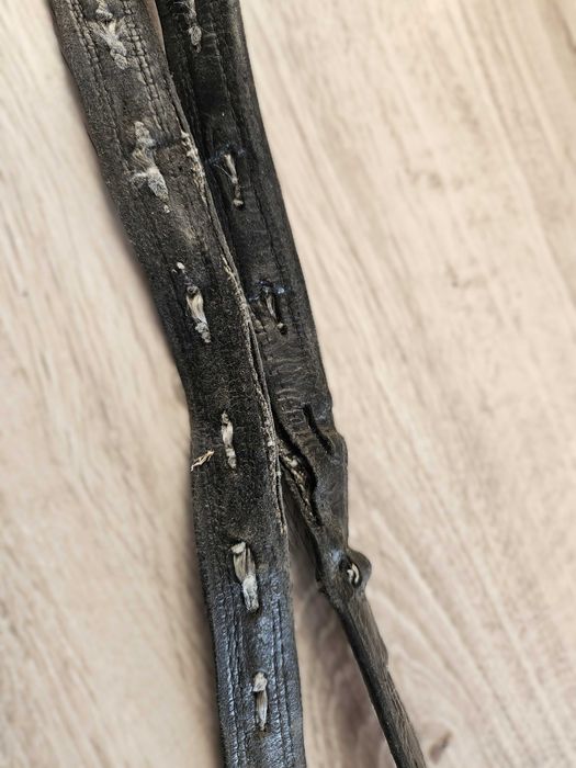 Puśliska ujeżdżeniowe, wzmacniane taśmą, 70cm