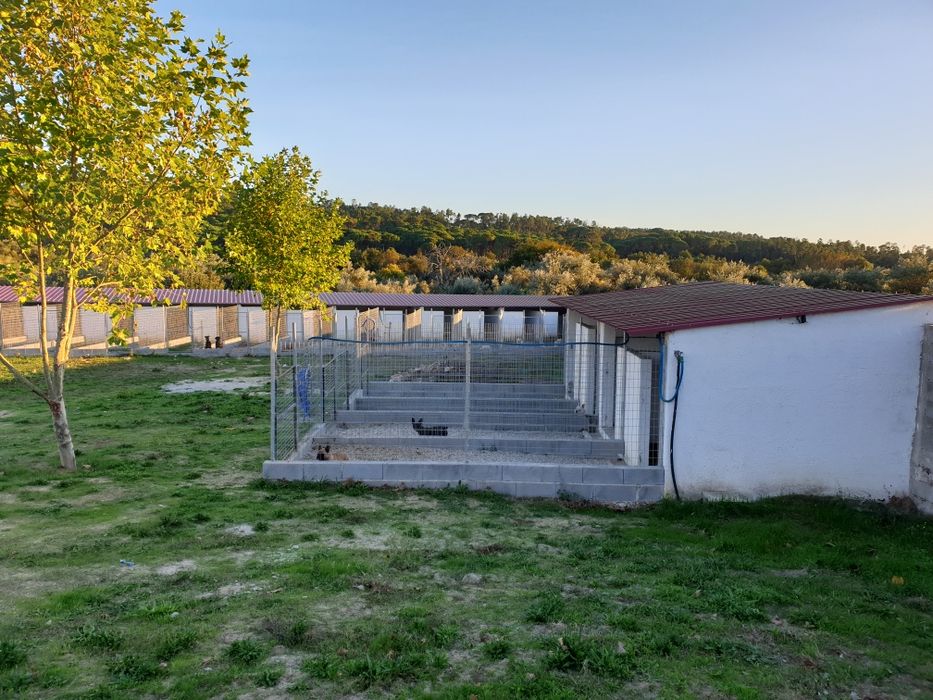 Hotel Canino Quinta do Pêgas