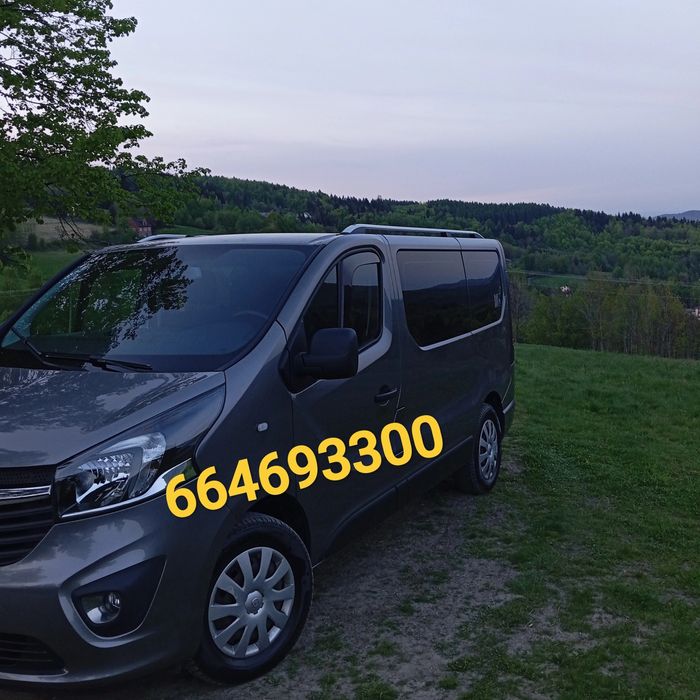 Bus 9 os kierowca na weselu przewóz transfer lotnisko transport wyjazd