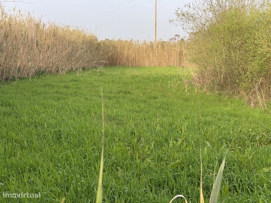 Terreno rustico à venda em Famalicão, Nazaré — Famalicão, Leiria