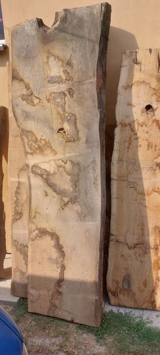 Monolity, blaty, foszty dębowe suche  210/65/5cm