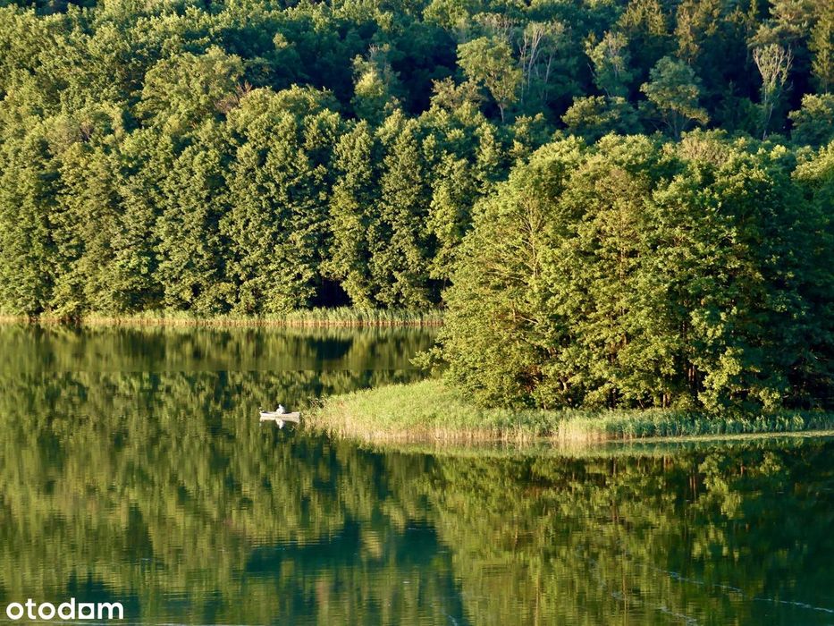 Dom , Warmia, Działka, Jezioro, Las, Gietrzwałd