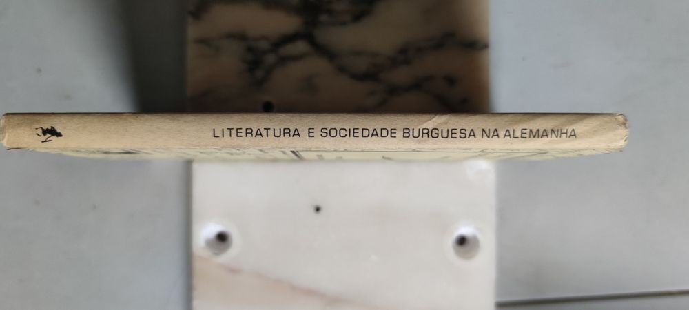 LIVRO- Ref CxC - M. Antônia Amarante - Literatura e Sociedade Burguesa