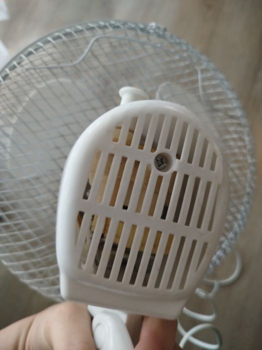 TriStar mały wentylator biurkowy