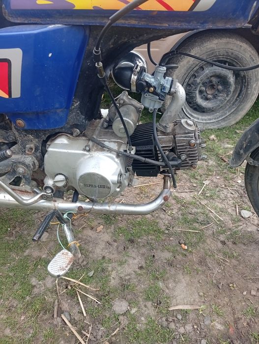 Продається альфа можливий обмін