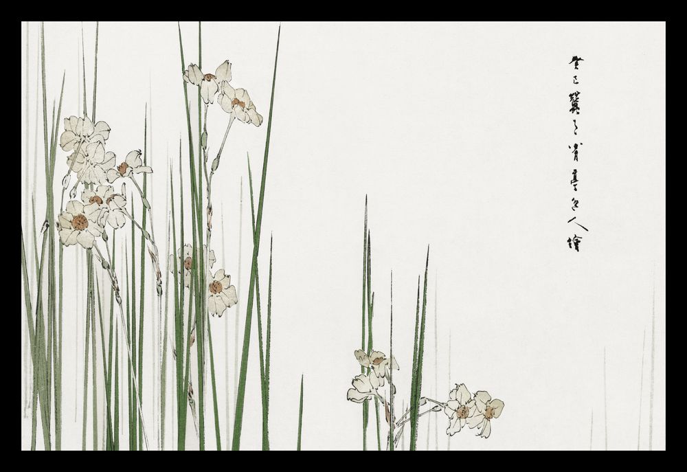 Plakat 30x20cm Jonquil, Bijutsu Sekai Japoński Vintage