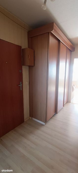 Zdjęcie 8