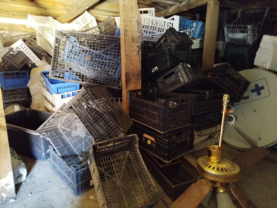 Skrzynki plastikowe na owoce, warzywa, sadzonki, itp. Duża ilość.