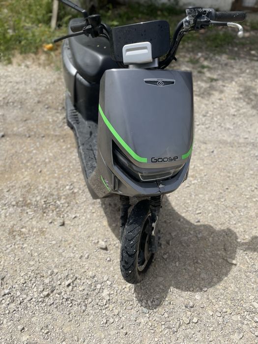 Mota eletrica modelo goose fox