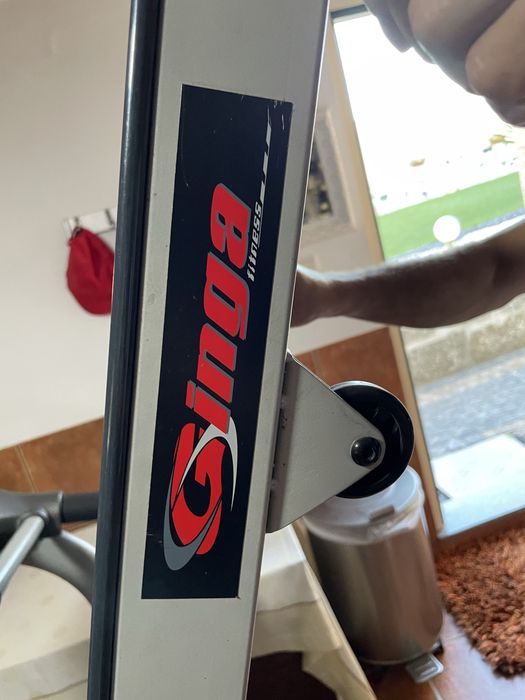 Passadeira Eletrica Ginga