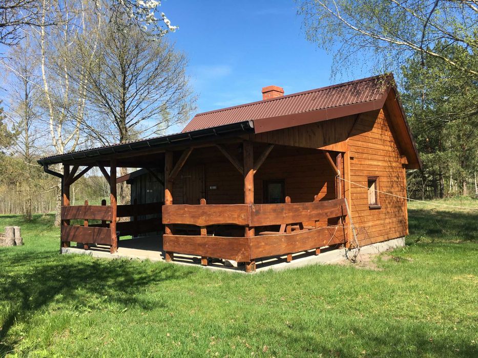 Sauna - Czarna Bania & Augustów-Bór