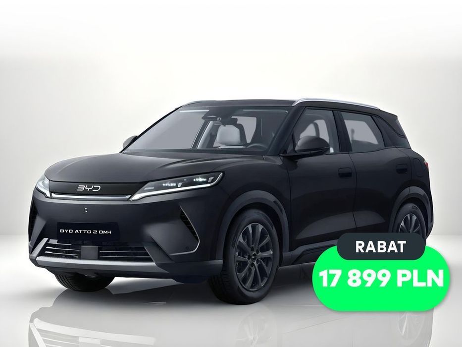 BYD Pozostałe BYD