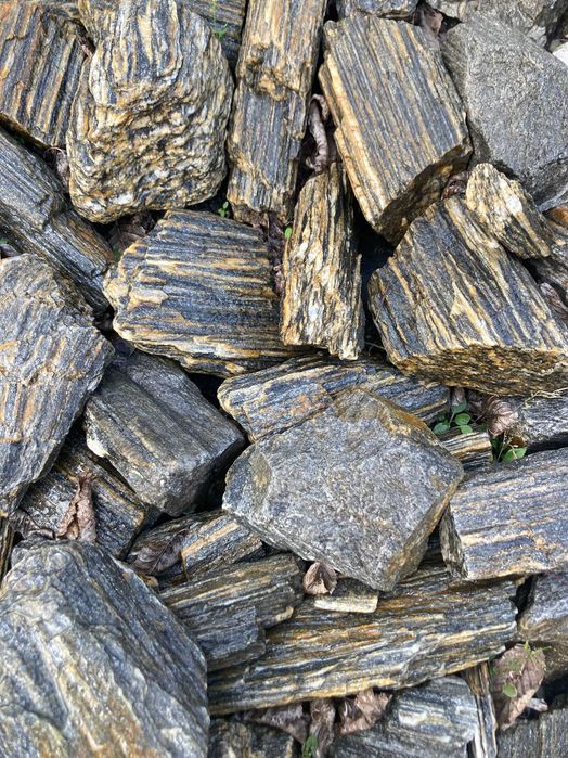 Kora kamienna                                               .