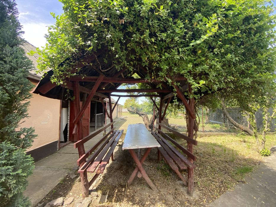 House in Vynohradiv, Tsilyna - More