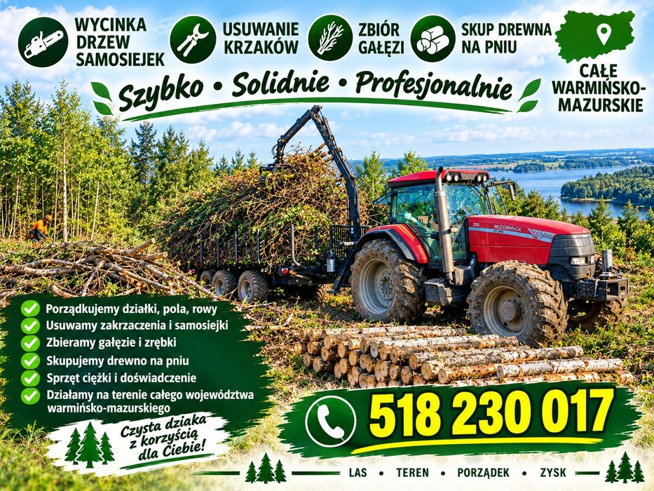 Skup samosiejek krzaków drewna