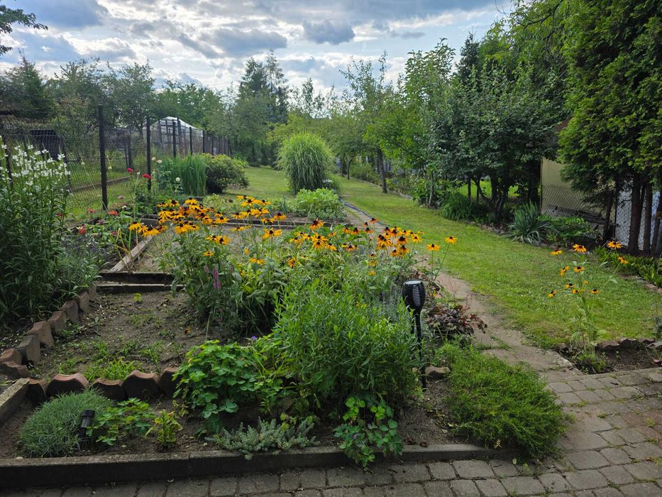 Ogródek działkowy ROD Górnik Sosnowiec - Widok 5