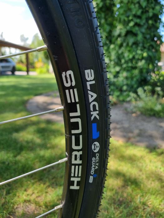Rower miejski Hercules