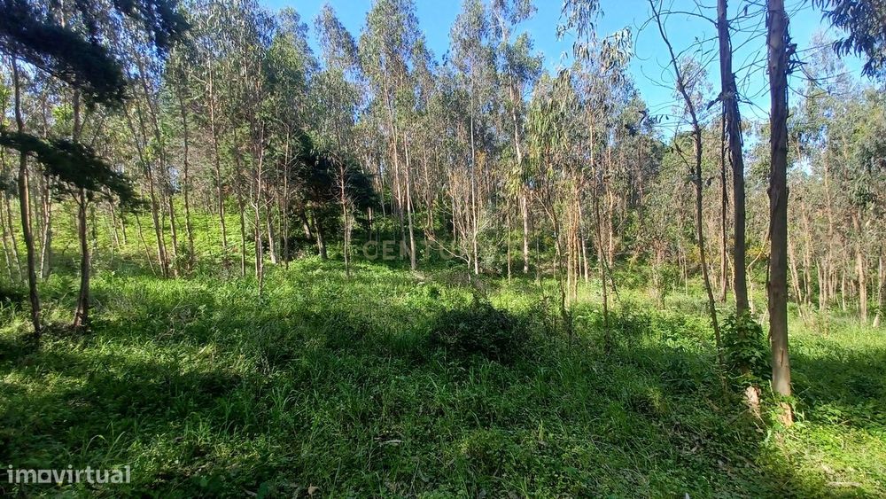 Terreno - Vila Nova da Barca - Venda