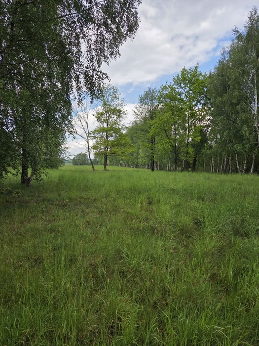 Sprzedam działkę rolno-budowlaną
