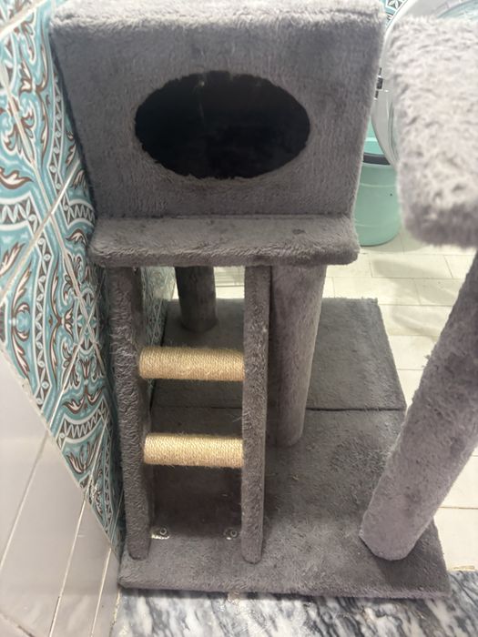 Arranhador de gatod