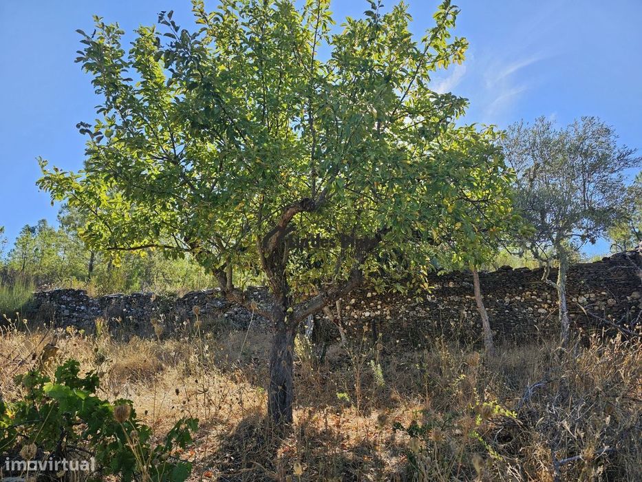 Quintinha com poço em Benquerenças