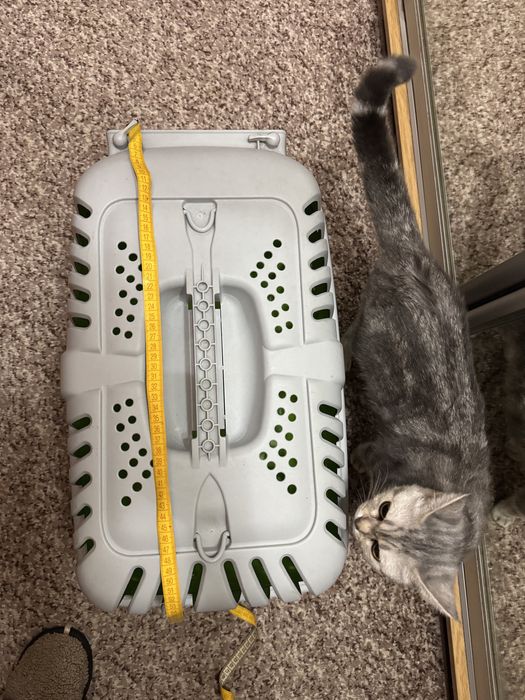 Велика переноска для мейкуна або невеликої собаки