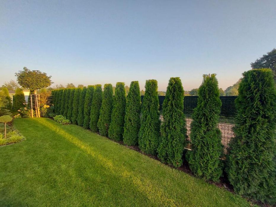 Ogrodnik Usługi Ogrodnicze Pielęgnacja Ogrodu Zakładanie Ogrodu