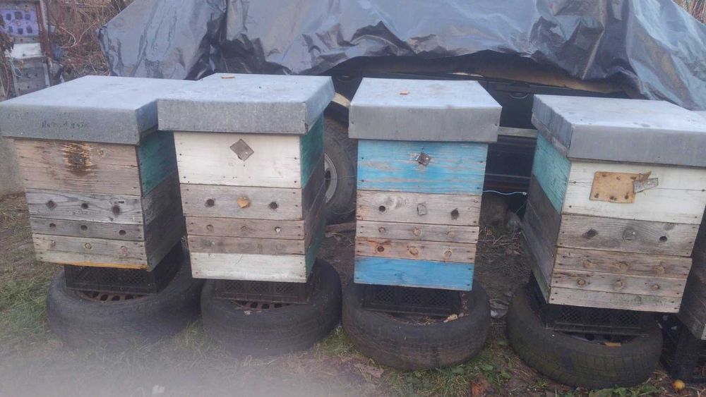 Вулики корпусніі дадан рута рамки утеплювач заставні  криша