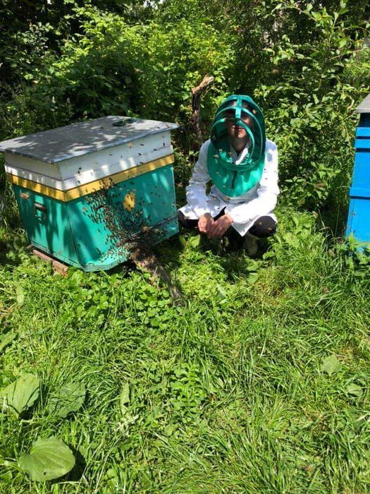 Смачний мед зі своєї пасіки