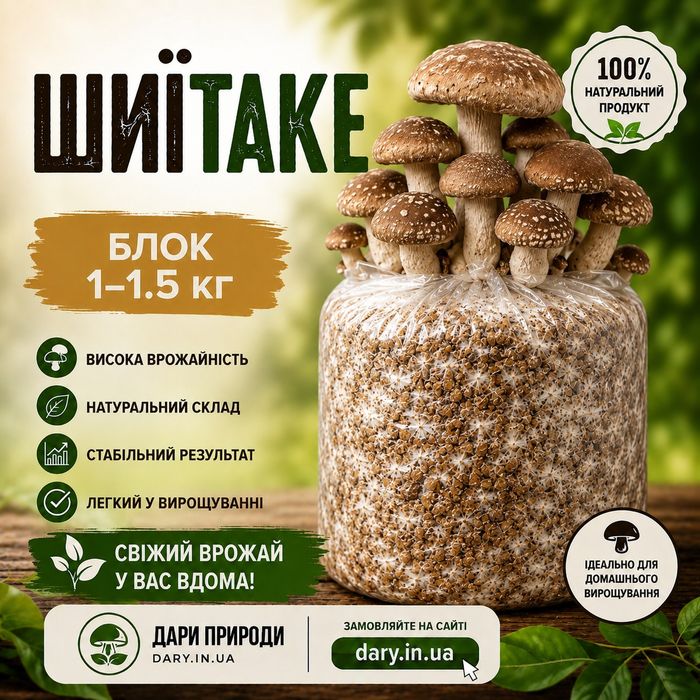 Набір готовий блок  для вирощування Шиїтаке