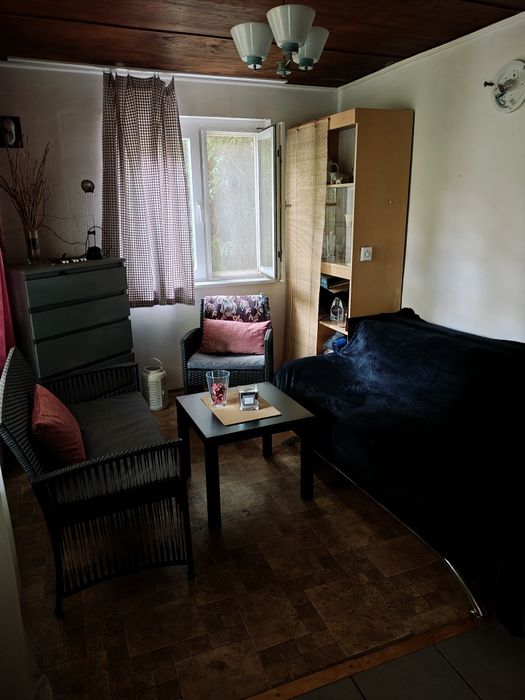 Działka ROD przy ul. Toruńskiej, ROD im. Tadeusza Kościuszki - Widok 5