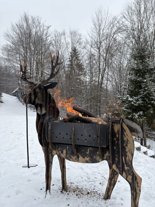 Подобова оренда будинку,шале,афрейм,апартаменти,трикутний дім в Карпат