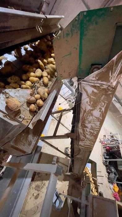 Máquina de pesar com 12 balanças, ( batatas, cebolas, alhos, cenouras, etc )
