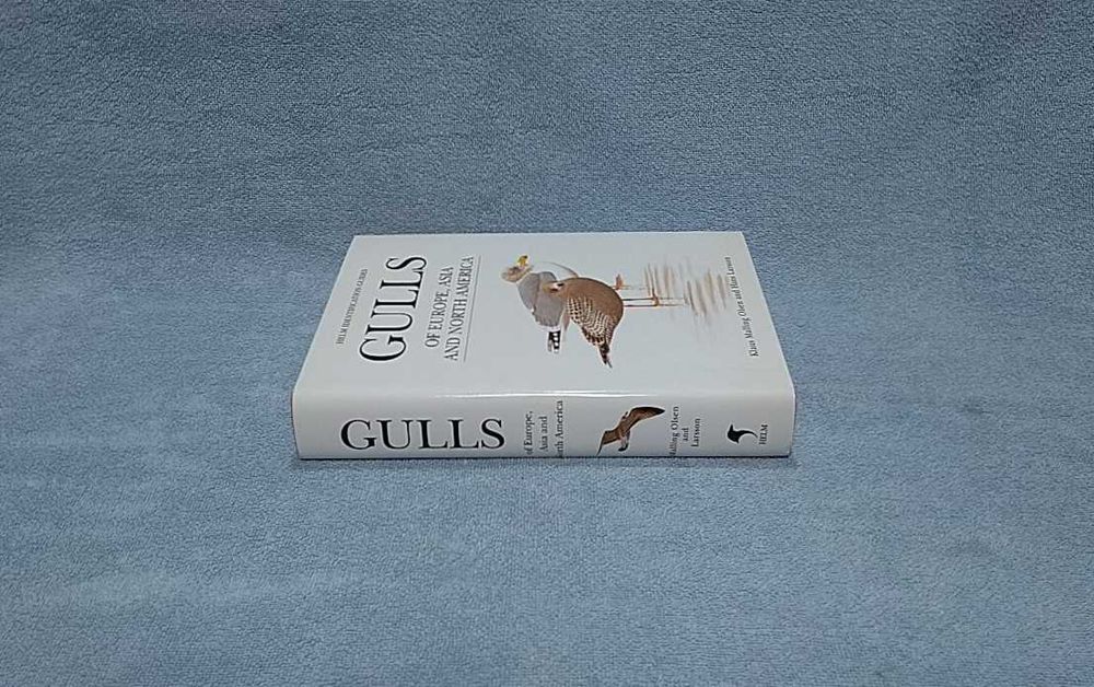 Mewy Europy, Azji i Ameryki Północnej po angielsku