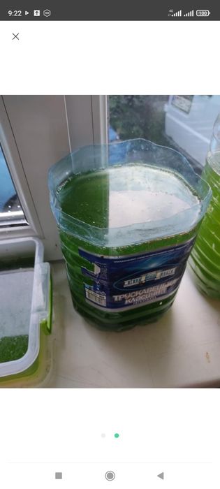 Тетраселміс 100 грн літр