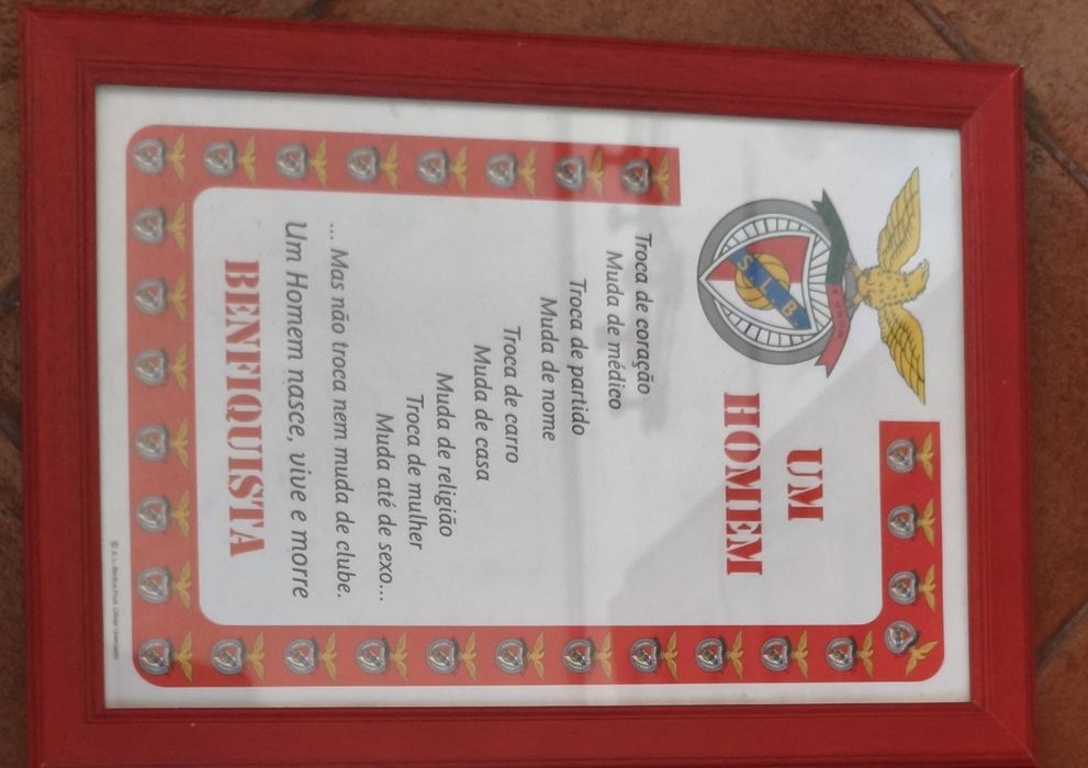 Molduras SL Benfica