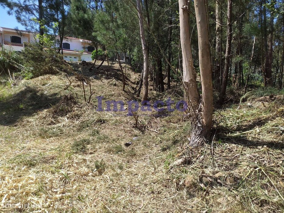 Lote de terreno em zona habitacional Monte Cesar Oliveira de Azeméis — Cesar, Aveiro