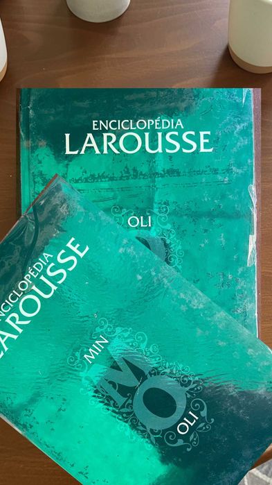 Enciclopédia Larousse 17 Volumes | Coleção de Livros Larousse | Embalada