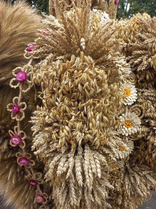 Korona żniwna wieniec dożynkowy