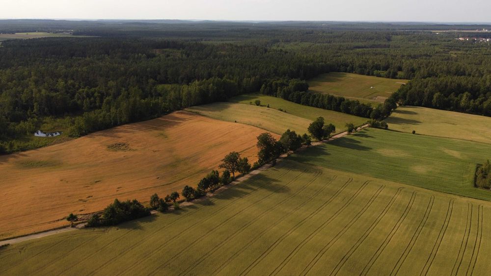 Działka w lesie - Cewice - na raty, Bezpośrednio od właściciela
