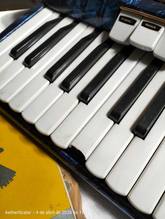 Acordeon classico