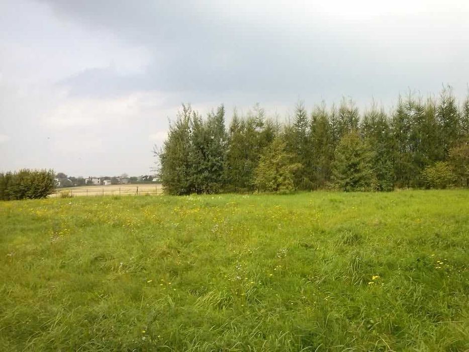 Widokowa działka siedliskowa 1h częściowo uzbrojona / cena do negocjacji