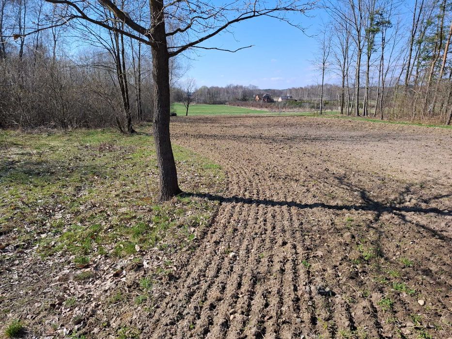 DZIAŁKA z Warunkami Zabudowy 31a