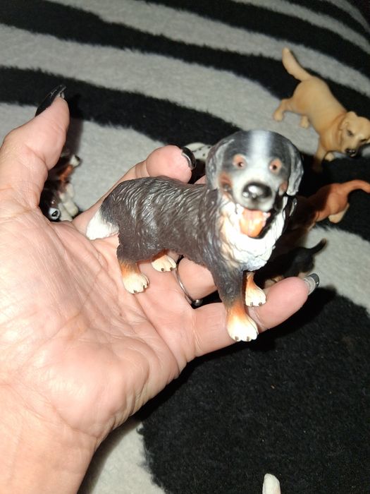 Coleção cães (12)