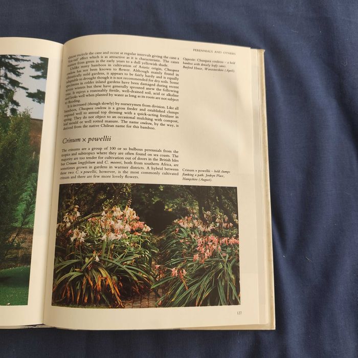 Roy Lancaster - Garden Plants for Connoisseurs