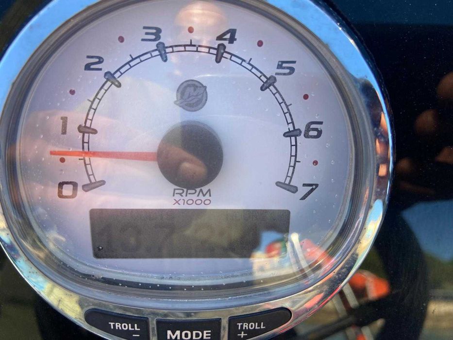 Semi-Rígido Narwhal